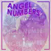 Profit2Raw - Angel Numbers - Single